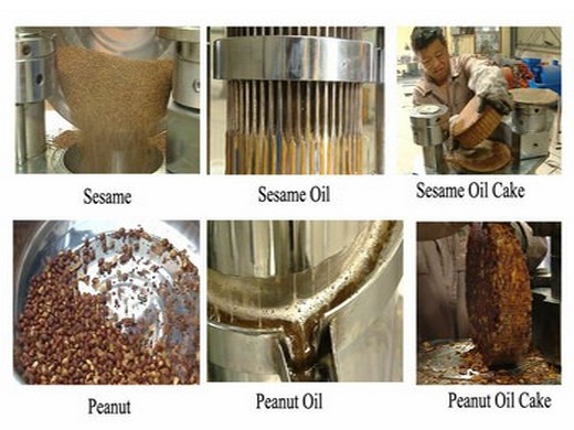 machines|solutions clés en main de biomasse, céréales et amp; traitement de l'huile - expulseur d'huile de graine de coton